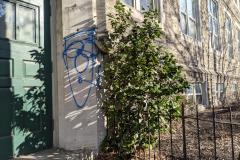 Weed Tree Graffiti to Mr. Donahue of Philadelphia (048)
