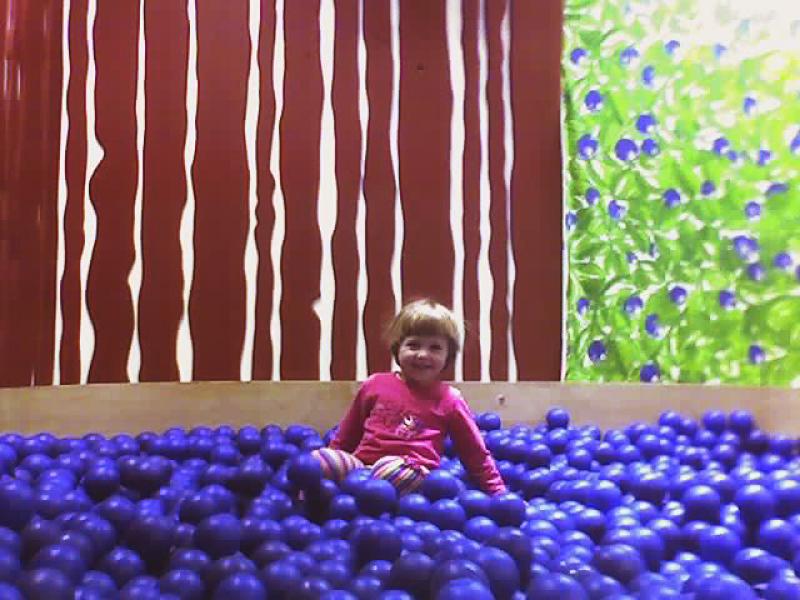 Antje in the Blueberries