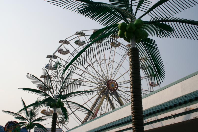 Ferris Wheel  Fake Plastic Trees