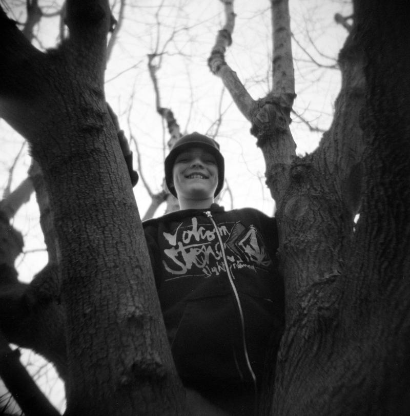 Jordan in a Tree