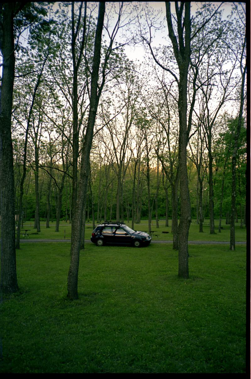 My Car in the Trees