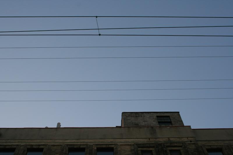 Sky Wires